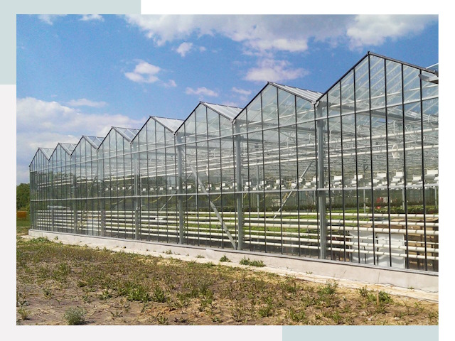 Строительство теплиц в Краснодар от 619 руб. за м²